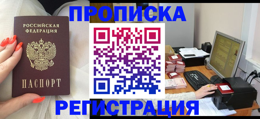 временная регистрация поиск в Николаевске